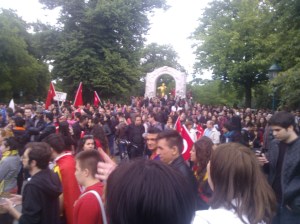 gezi_perk_vienna_support_strauss003