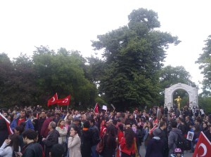 gezi_perk_vienna_support_strauss005